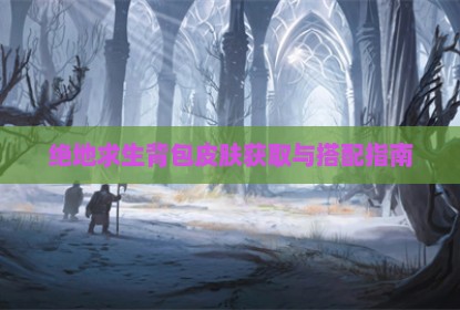 绝地求生背包皮肤获取与搭配指南